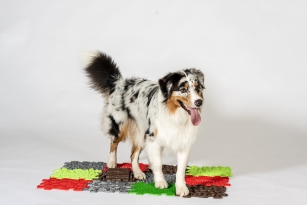 MUFFIK Orthopädische Strukturmatten Happy Dog - 8 Teile für taktile Wahrnehmung
