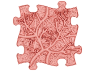 MUFFIK Orthopädische Strukturmatten Regenbogen Pastel Set - 8 Teile für taktile Wahrnehmung - Barfußpfad