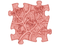 MUFFIK Orthopädische Strukturmatten Regenbogen Pastel Set - 8 Teile für taktile Wahrnehmung - Barfußpfad